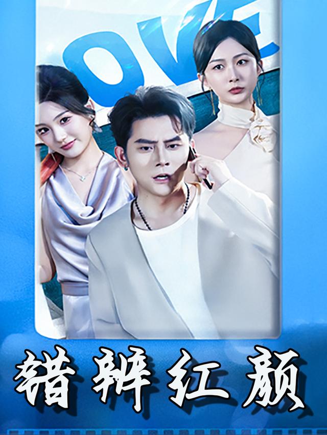 错辨红颜封面