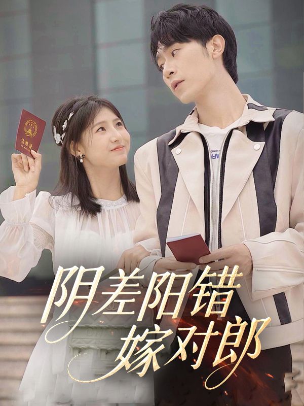 阴差阳错嫁对郎封面