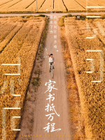家书抵万程封面