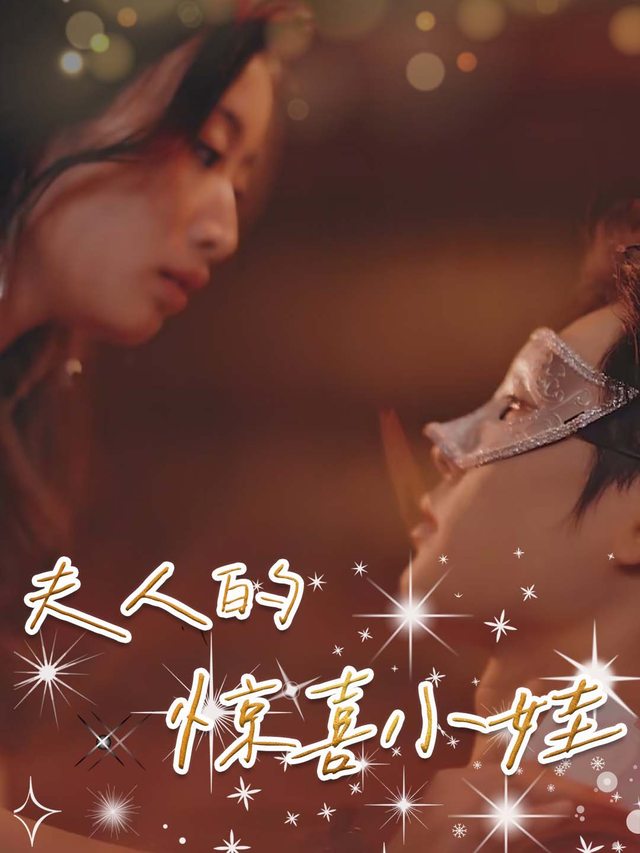 夫人的惊喜小娃封面