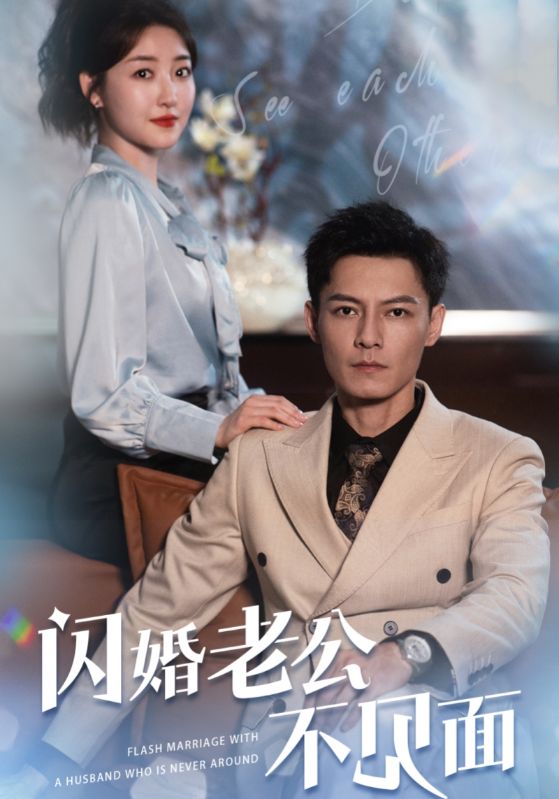 神秘老公为何不见面封面