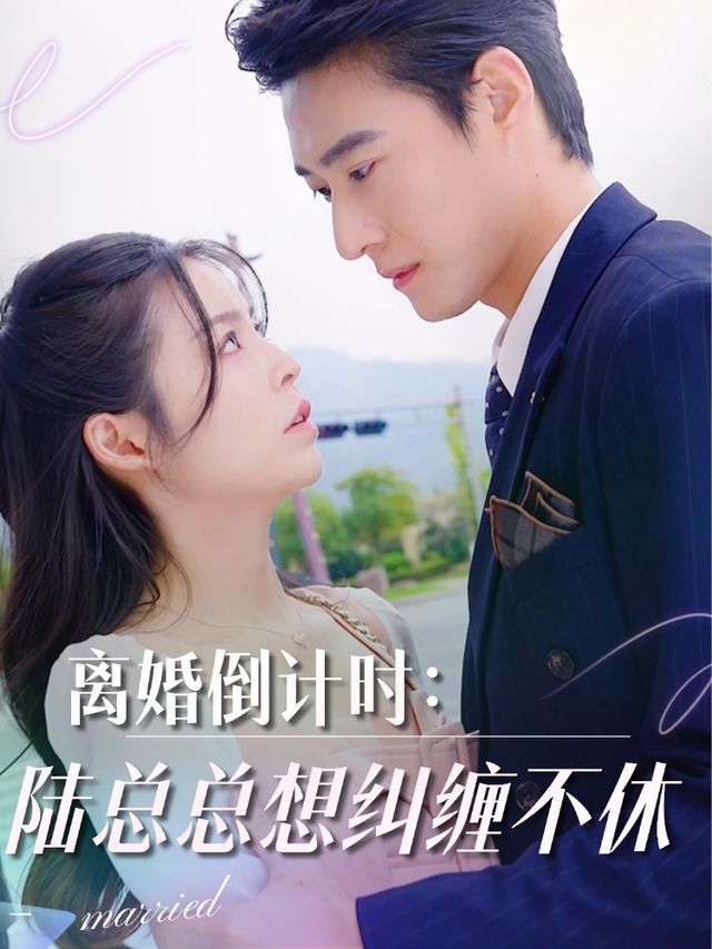 离婚倒计时:陆总总想纠缠不休封面