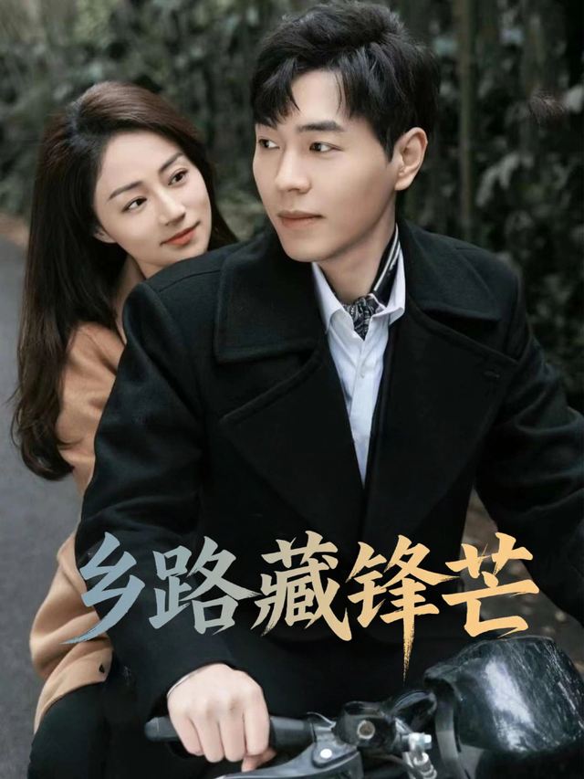 乡路藏锋芒封面