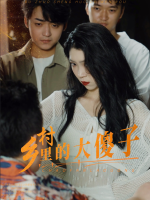 乡村里的大傻子封面