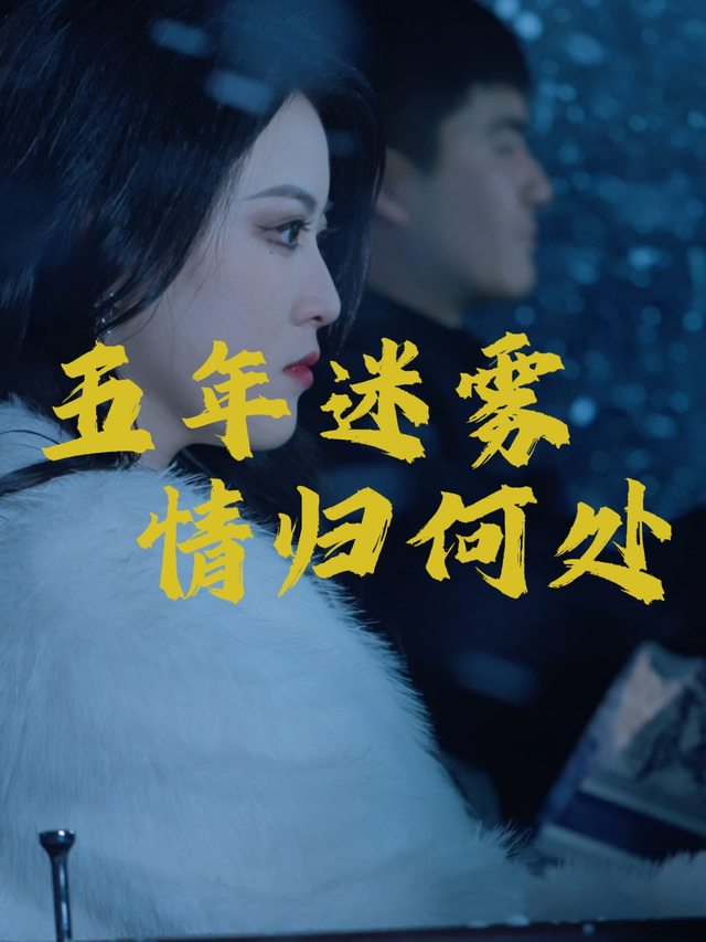 五年迷雾:情归何处封面