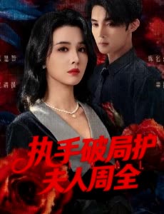 执手破局护夫人周全封面