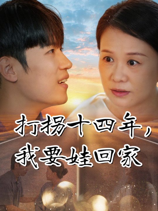 打拐十四年,我要娃回家封面