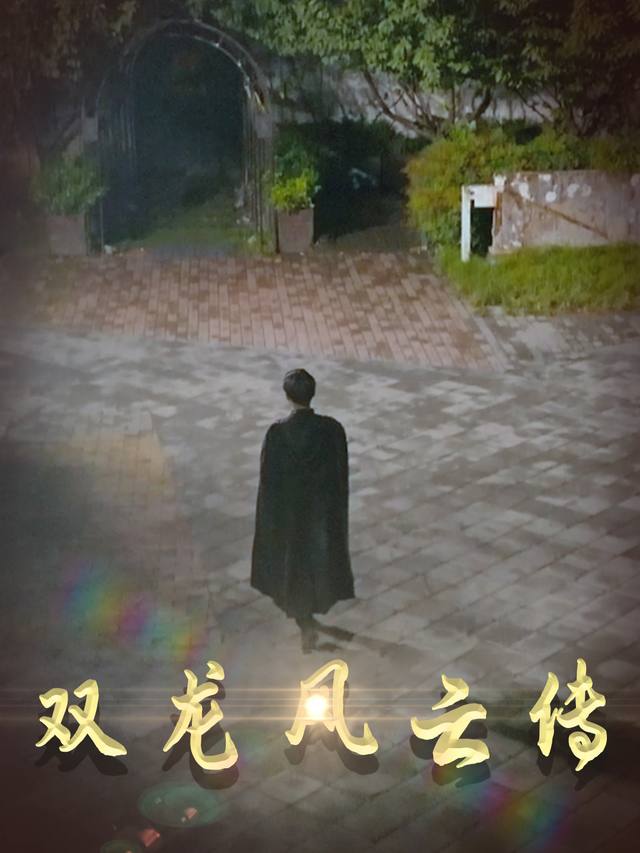 双龙风云传封面