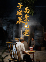 子欲养而亲已老封面