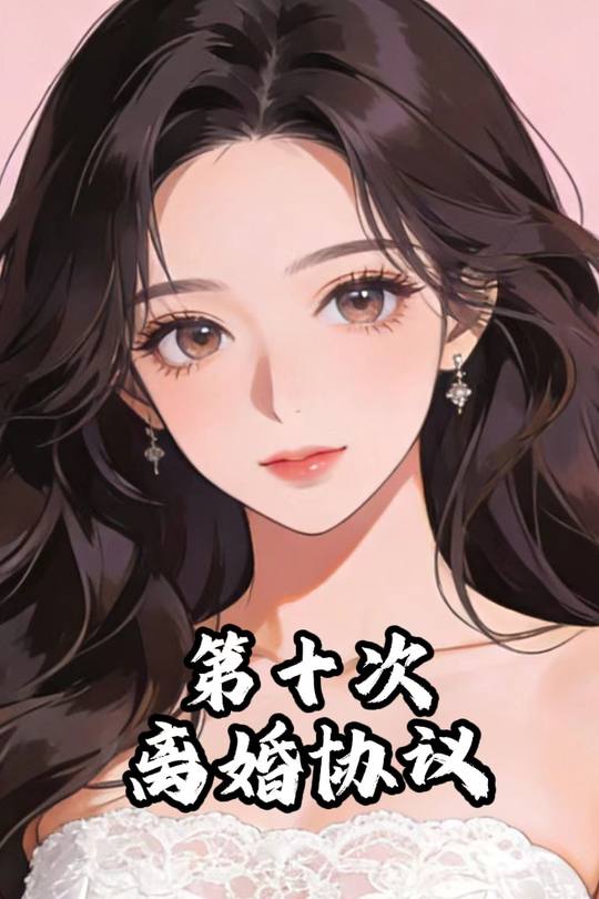 第十次离婚协议封面