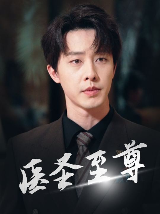 医圣至尊封面