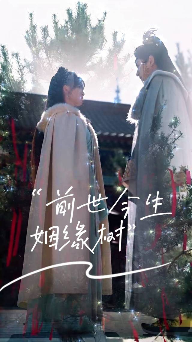 前世今生,姻缘树封面