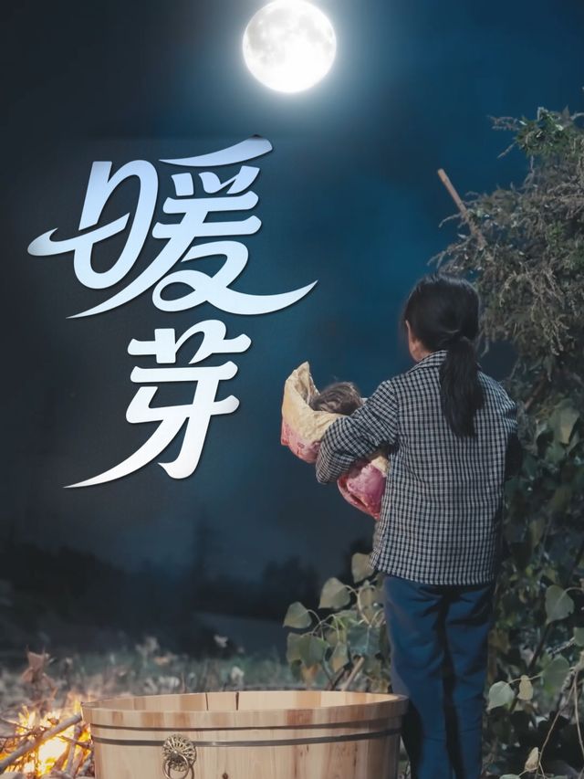 暖芽封面