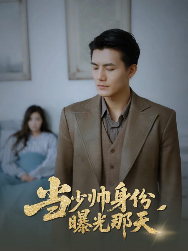 当少帅身份曝光那天封面