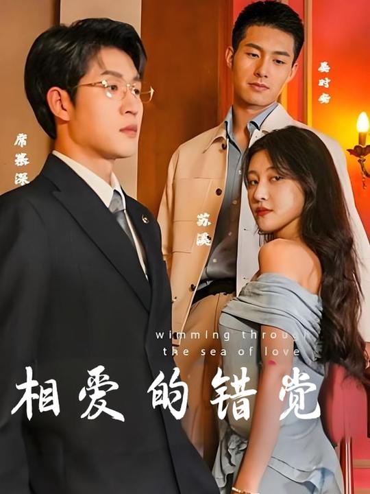 相爱的错觉封面