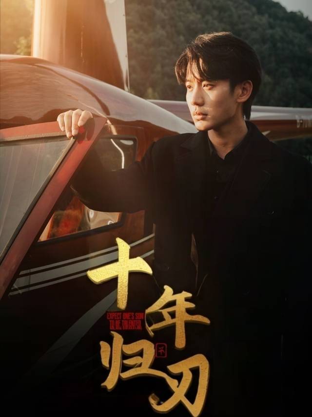 十年归刃封面