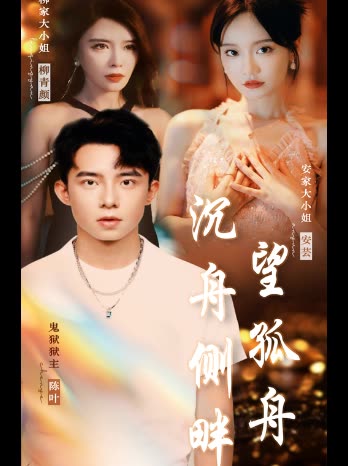 沉舟侧畔望孤舟封面