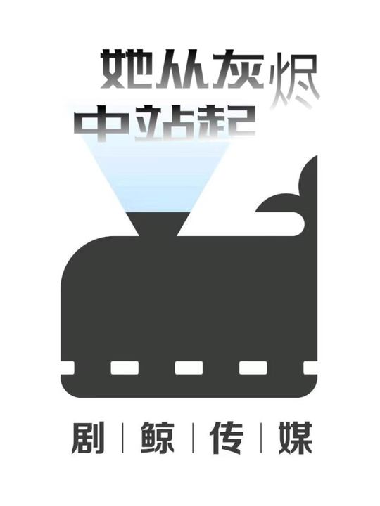 她从灰烬中站起封面