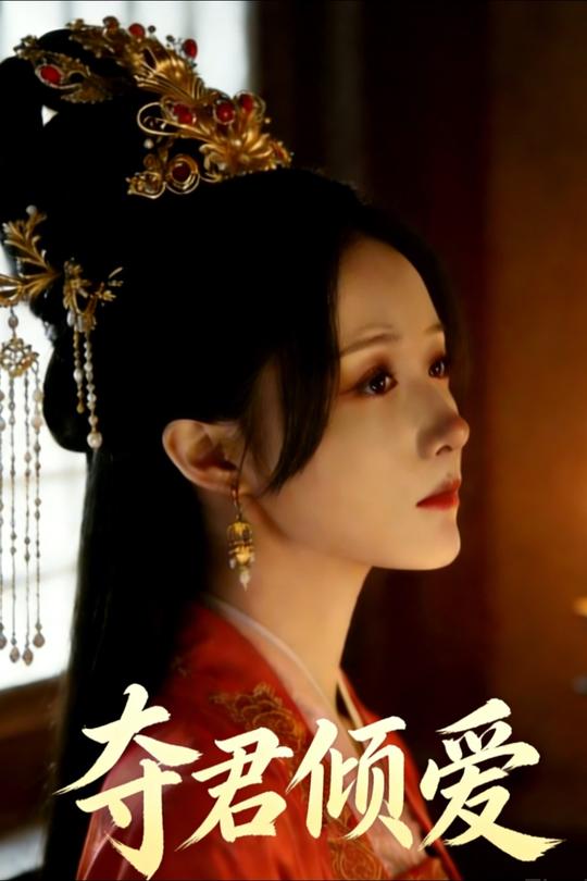 夺君倾爱封面