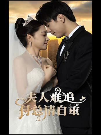夫人难追付总请自重封面