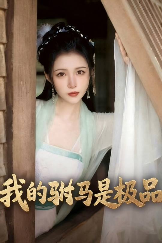 我的驸马是极品封面