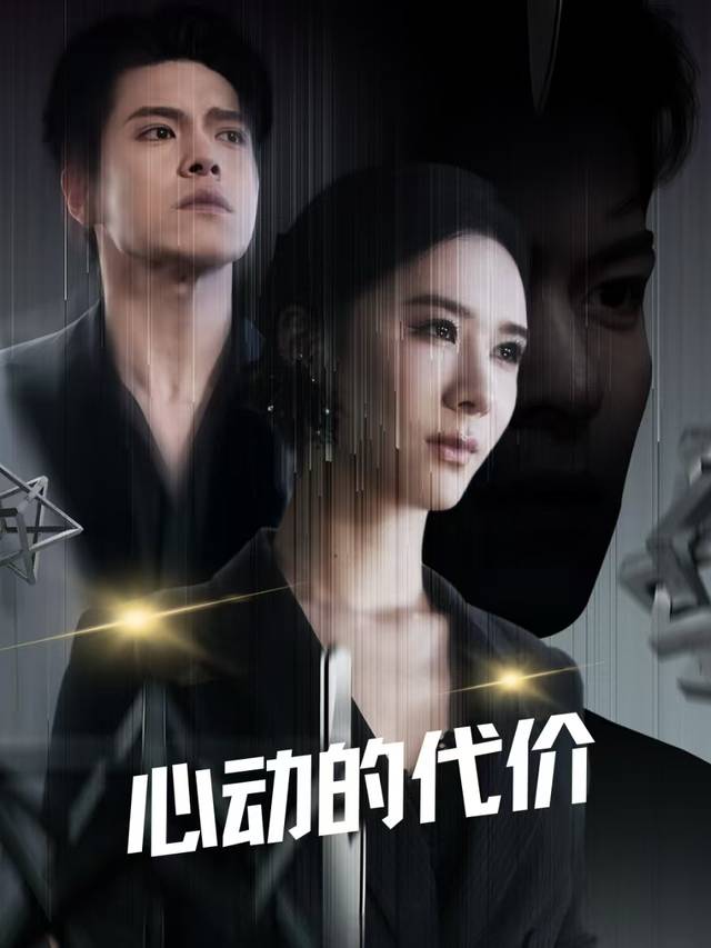 心动的代价封面