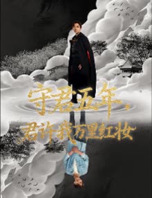 守君五年,君许我万里红妆封面