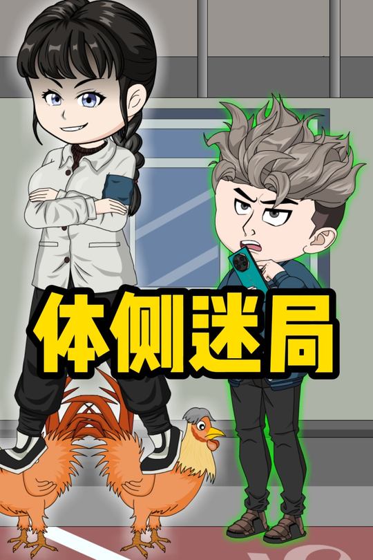 体侧迷局封面