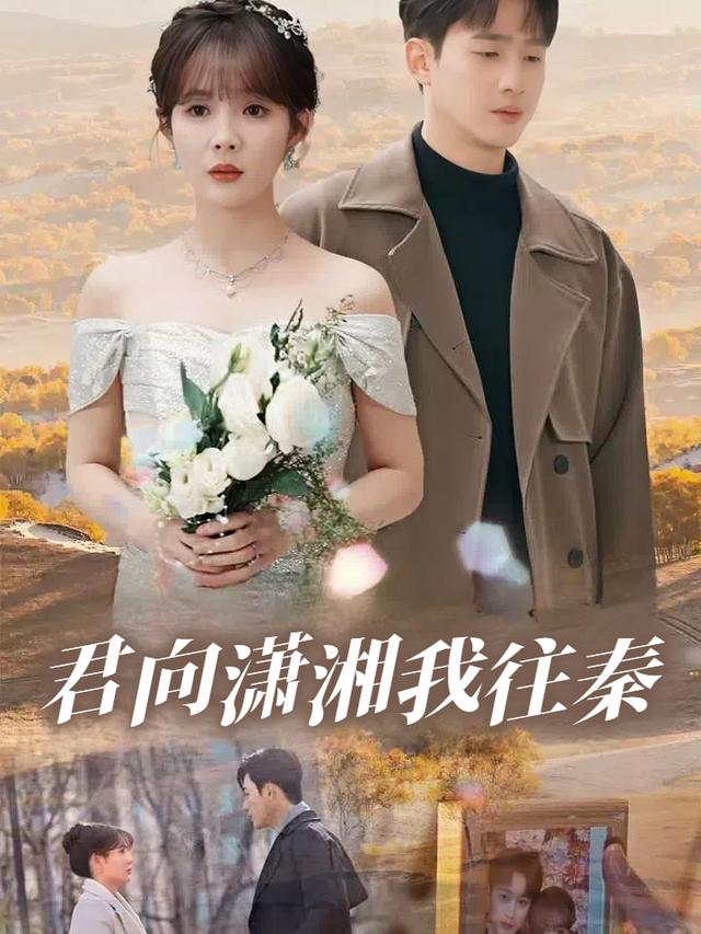 君向潇湘我往秦封面