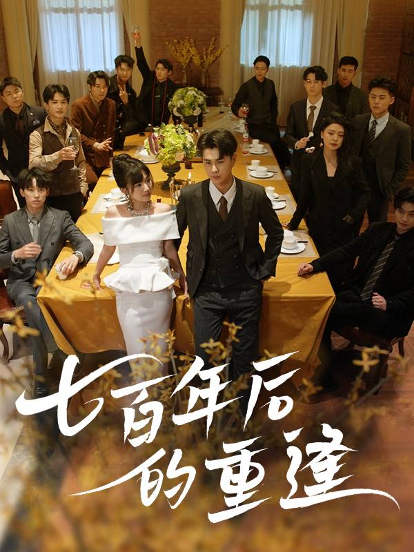 七百年后的重逢封面