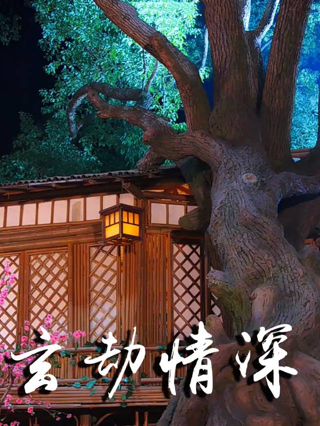 玄劫情深封面