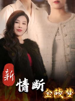 新情断金陵梦封面
