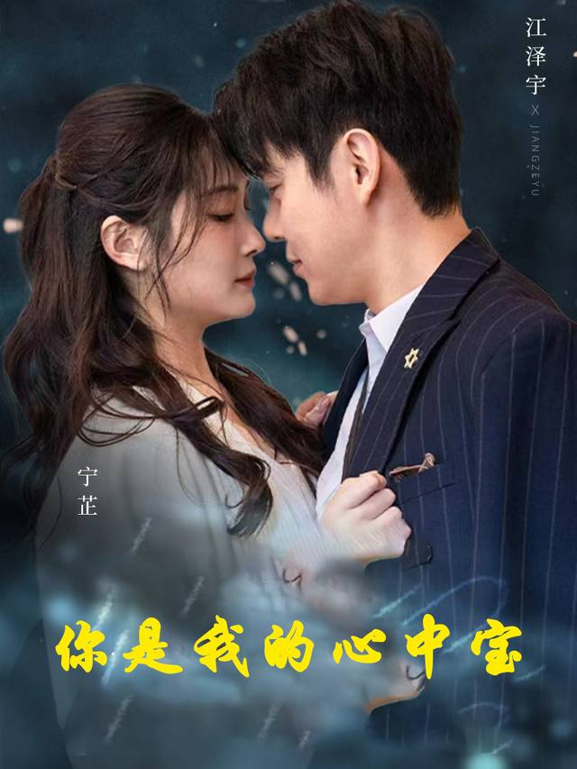 你是我的心中宝封面