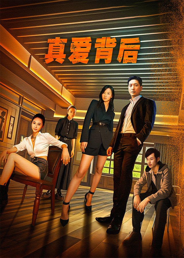 电视剧·真爱背后(4)封面