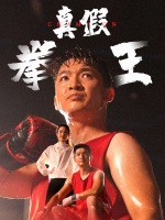 真假拳王封面