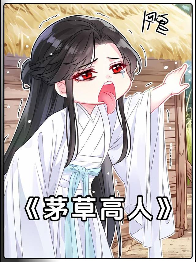 茅草高人封面