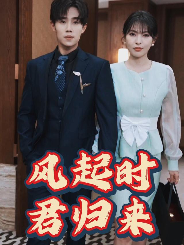 风起时君归来封面