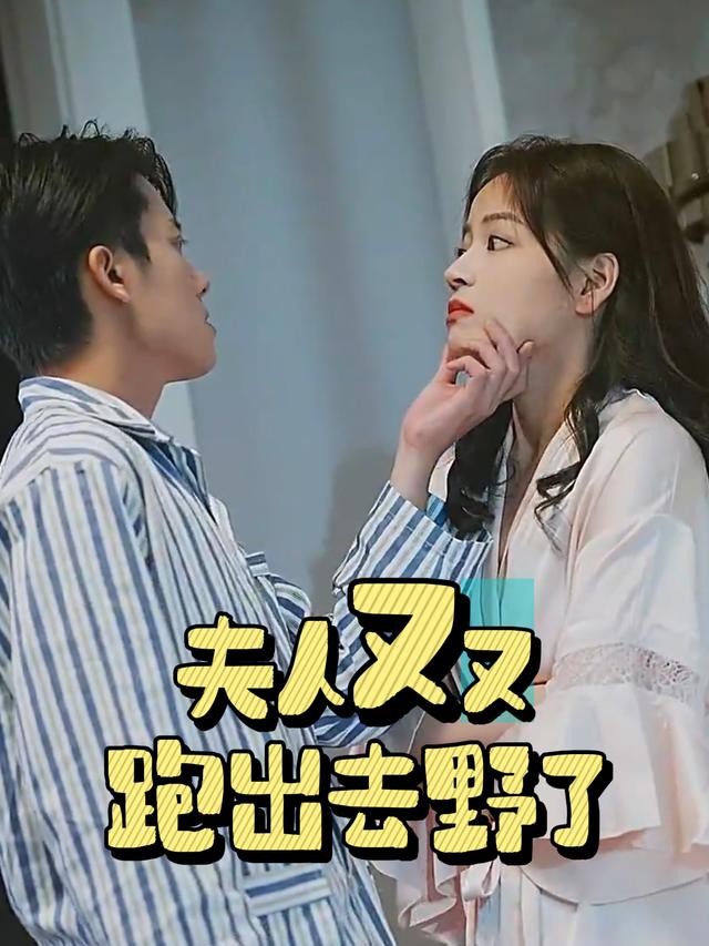 夫人又又跑出去野了封面