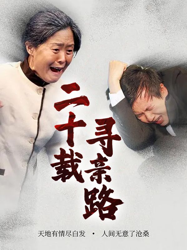 二十载寻亲路封面
