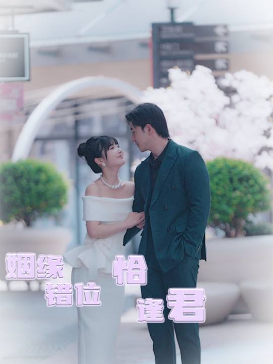 姻缘错位恰逢君封面