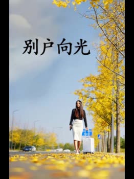 别户向光封面