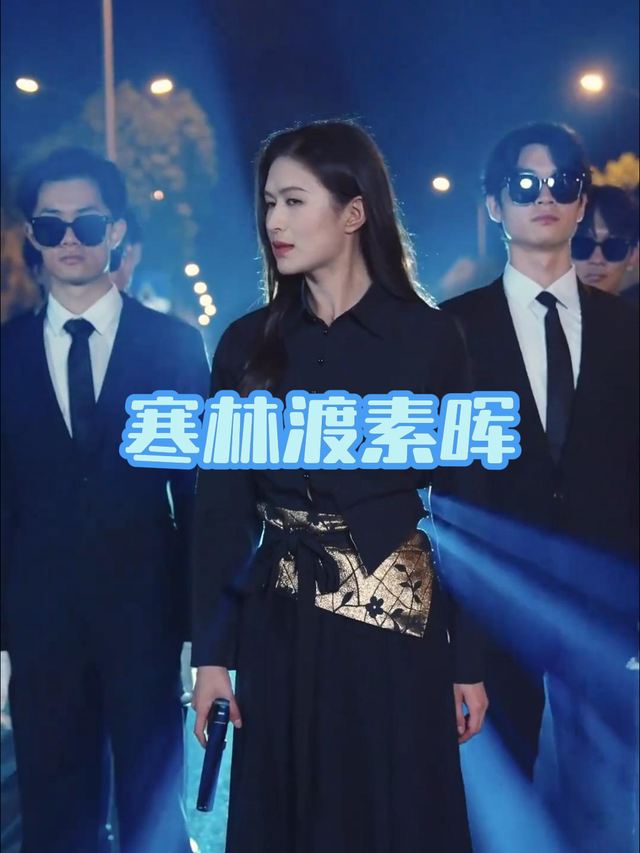 寒林渡素晖封面