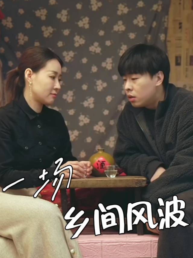 一场乡间风波封面