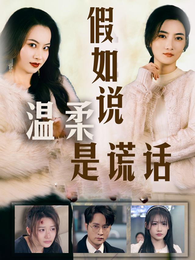 假如说温柔是谎话封面