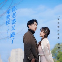 祁教授,你老婆又跑了封面