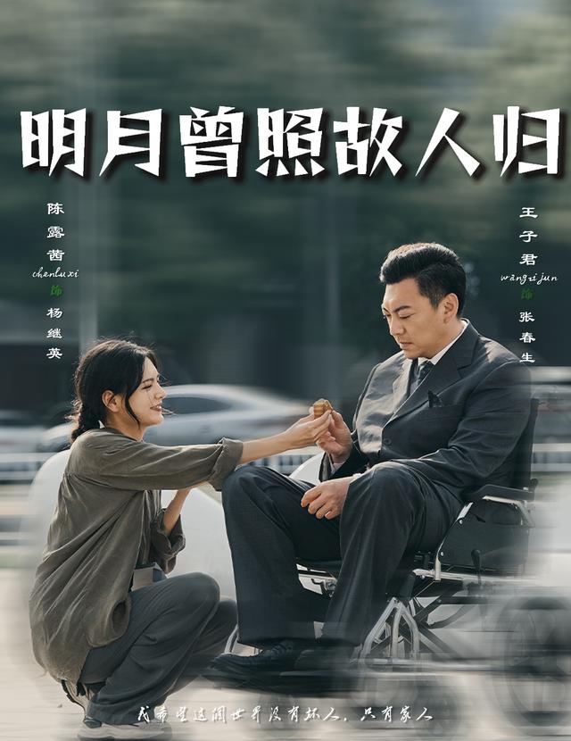 明月曾照故人归封面