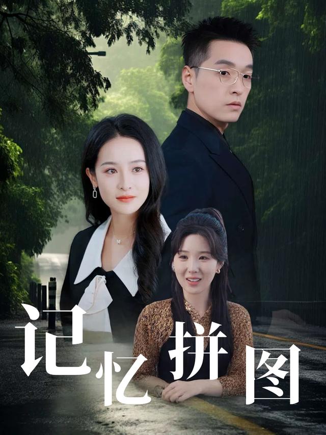 记忆拼图封面