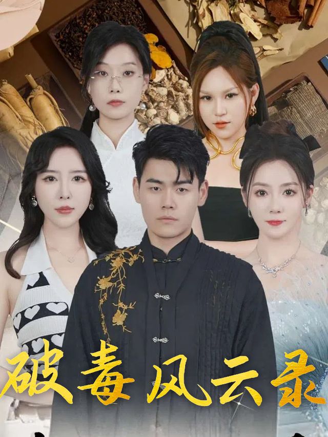 破毒风云录封面