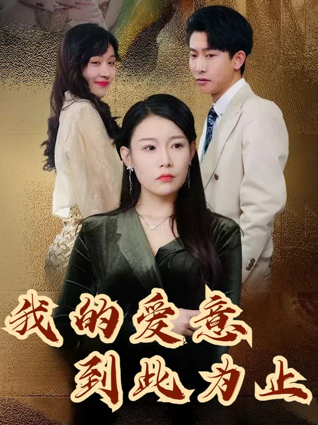 我的爱意到此为止封面