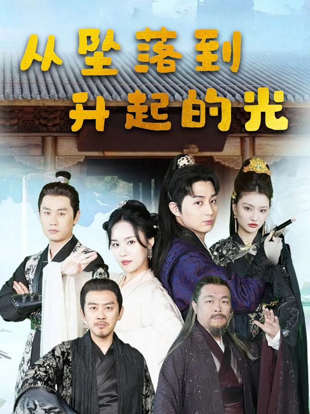 从坠落到升起的光封面